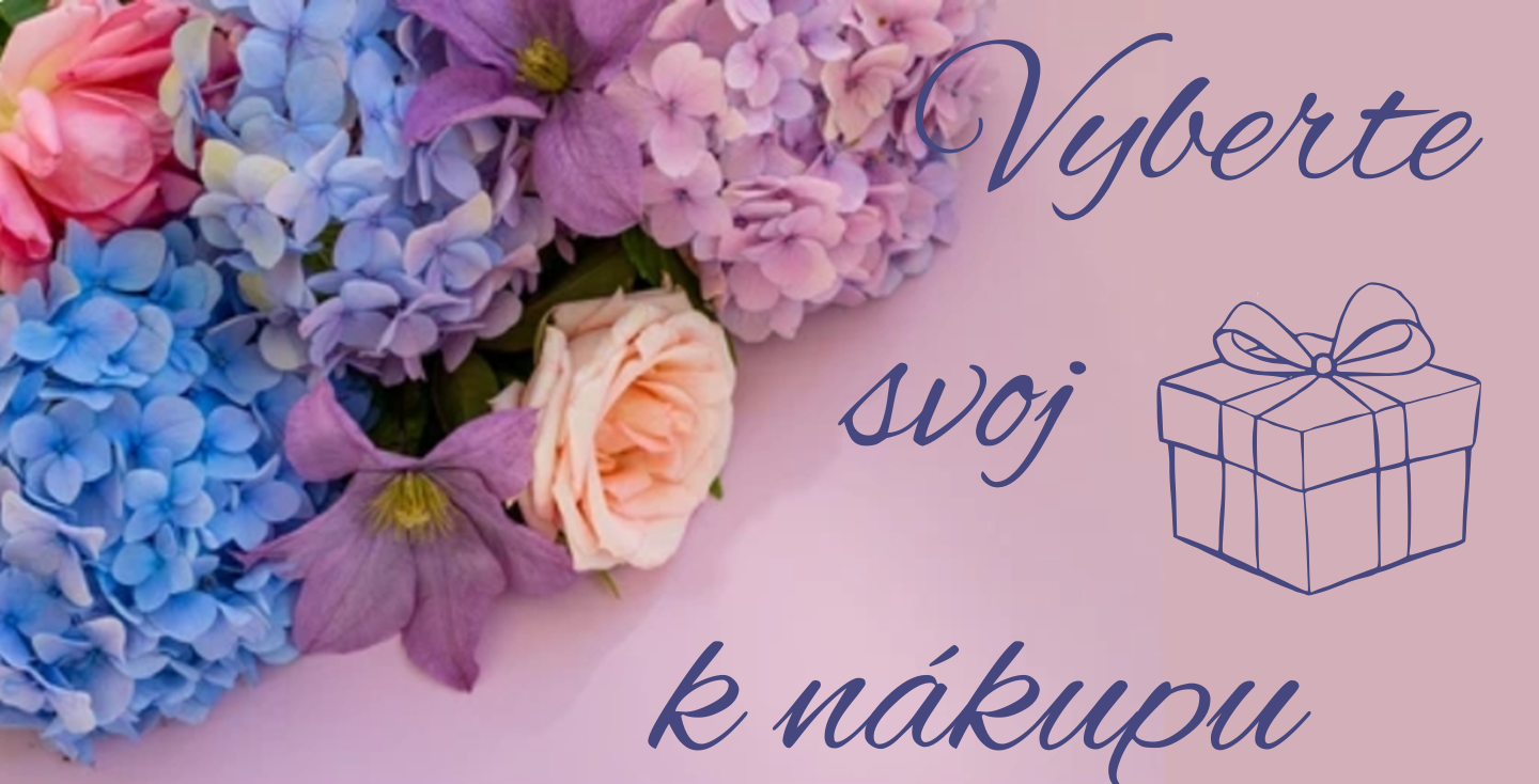 Canva Design (19)